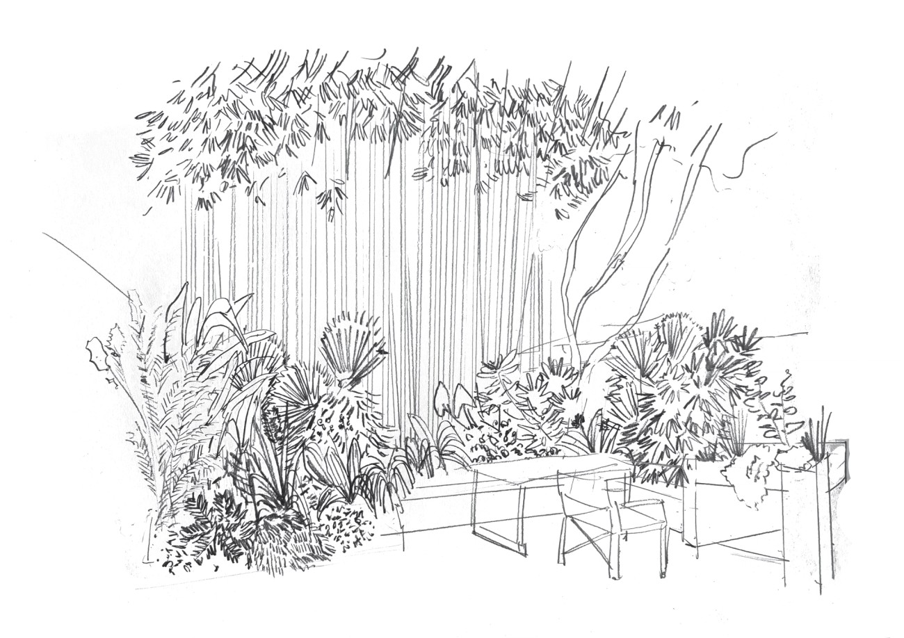 BAMBOO-LAND