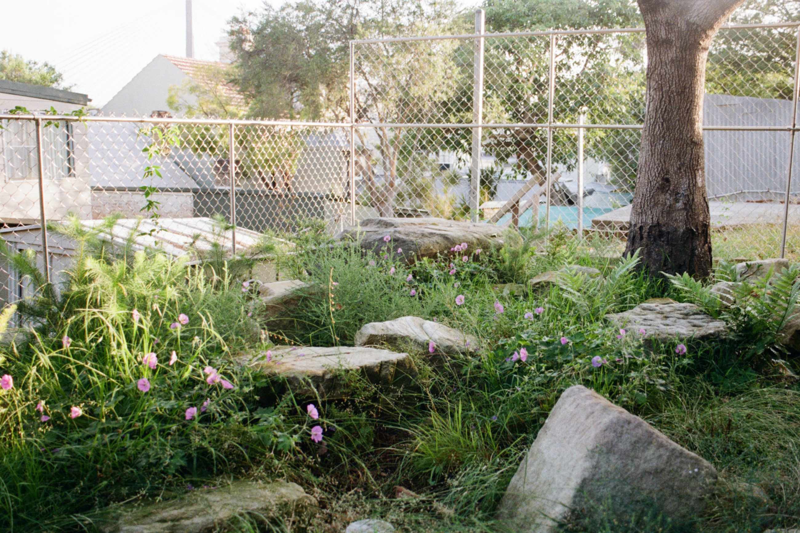ROCK GARDEN