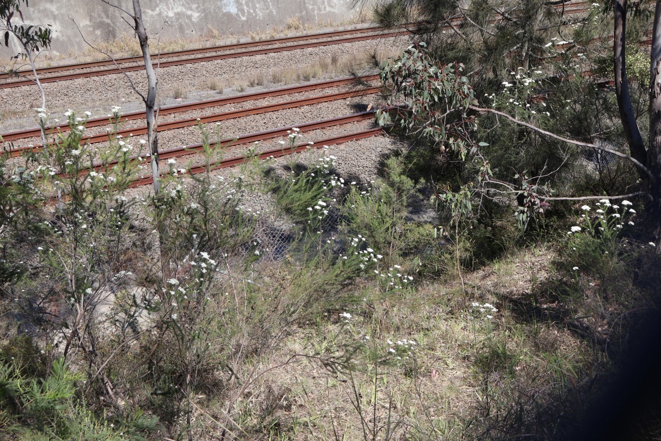 Railway Remains 