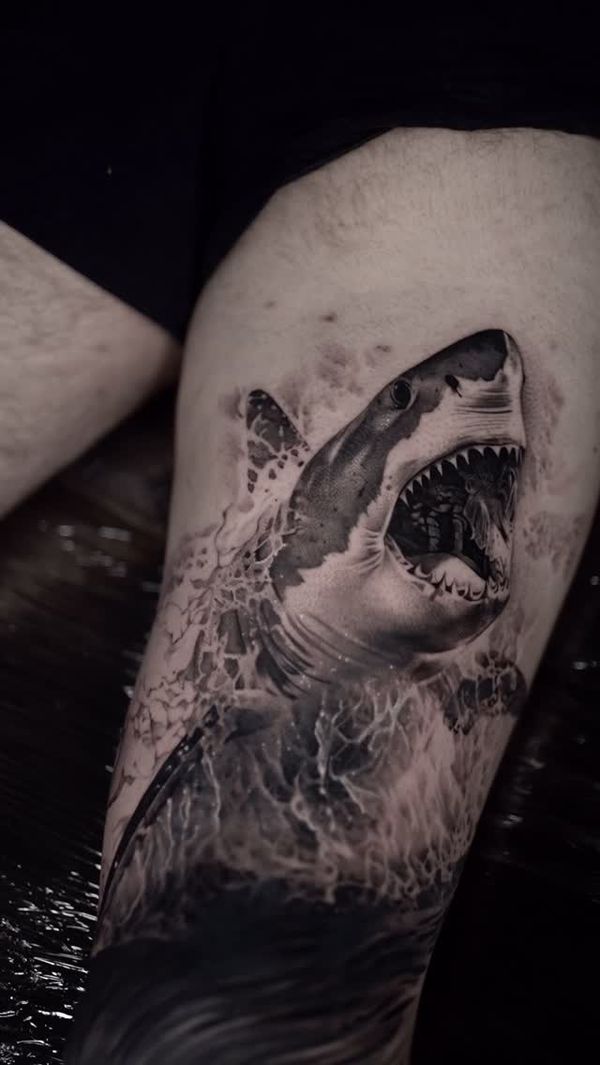 Shark