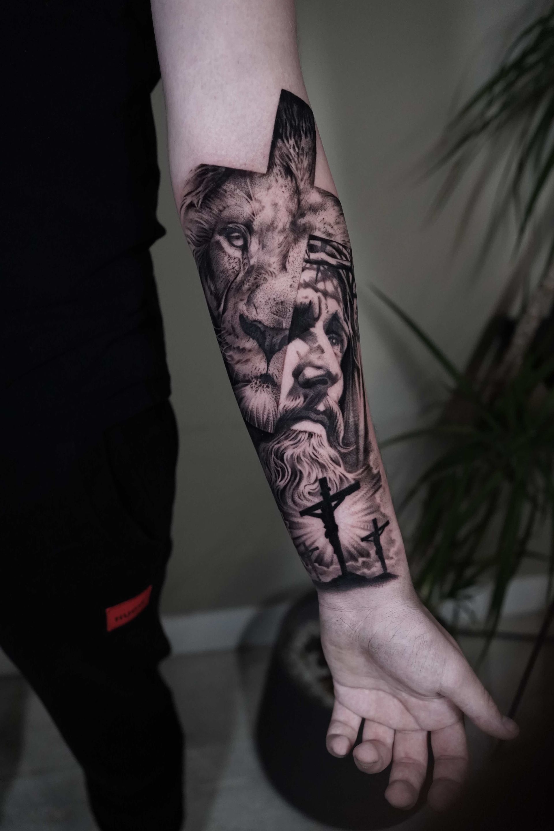 Lion,Jesus Christ,Crucifixion Crosses