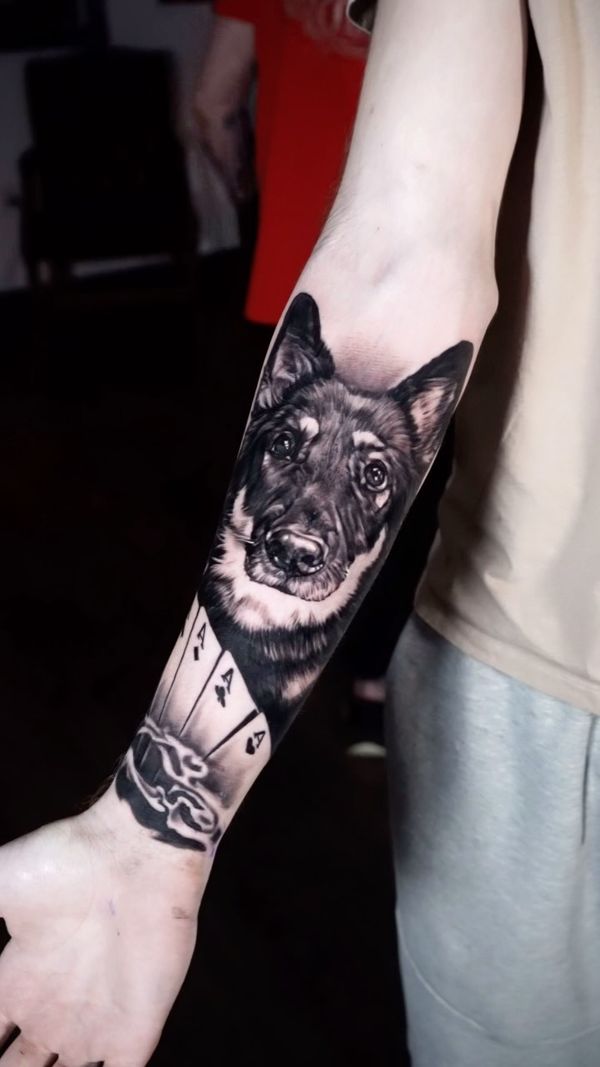 German Shepherd dog, playing cards, chain