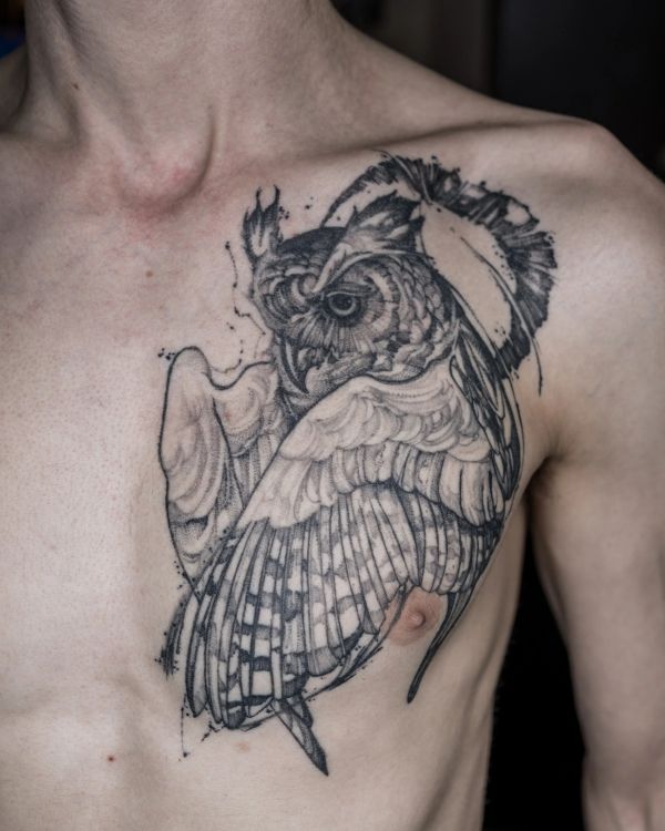 Owl