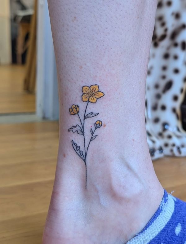 Flower, Botanical