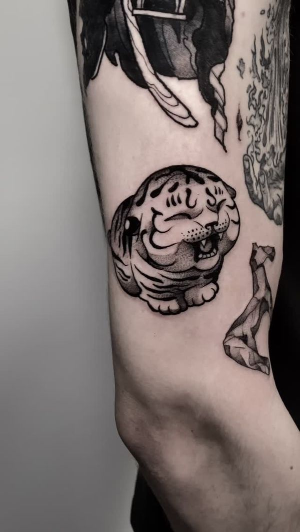 Tiger, Cat, Animal