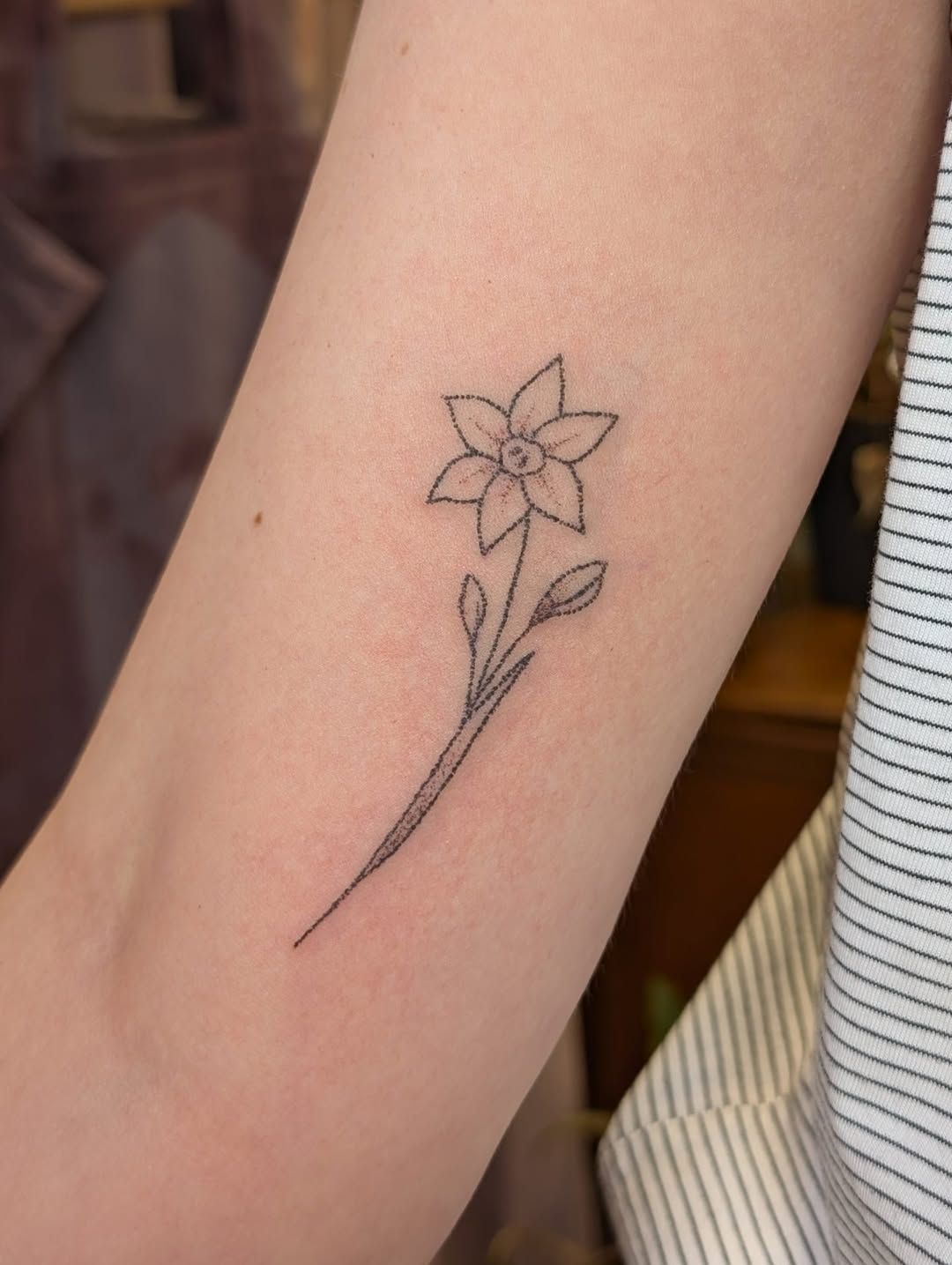 Flower,Stem,Leaves