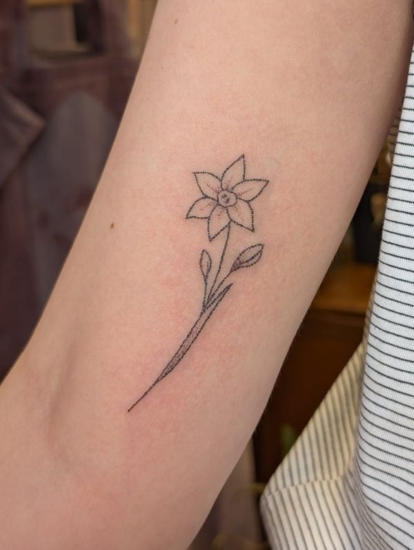 Flower, Stem, Leaves