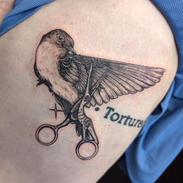 Bird, Scissors, Lettering