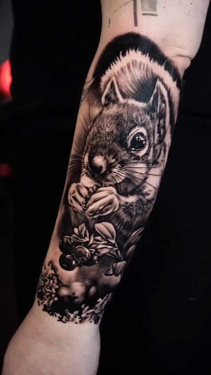 squirrel,berries