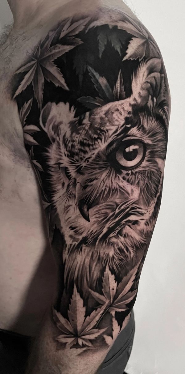Owl, Leaves
