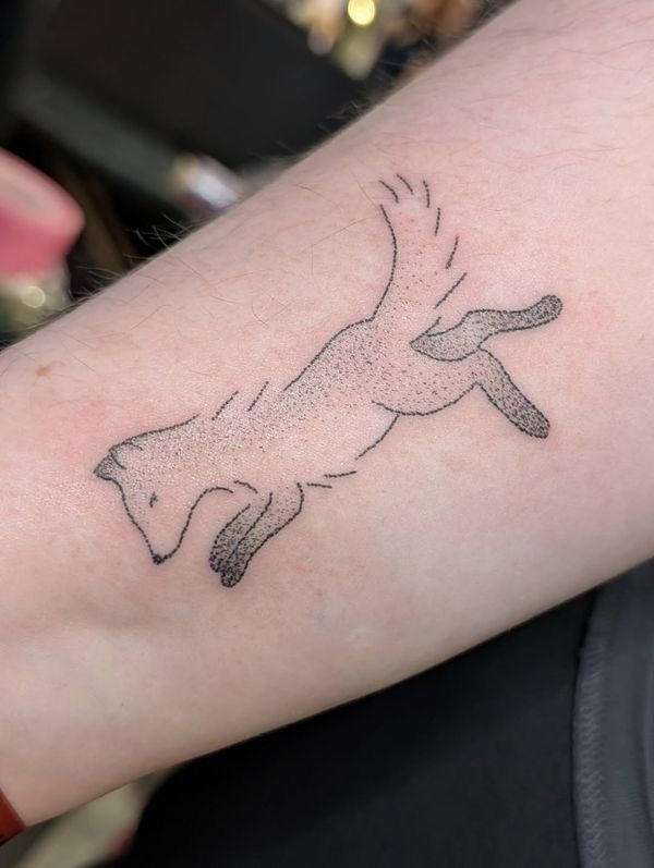 Fox