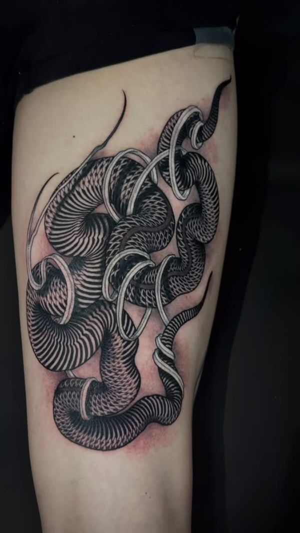 Snake