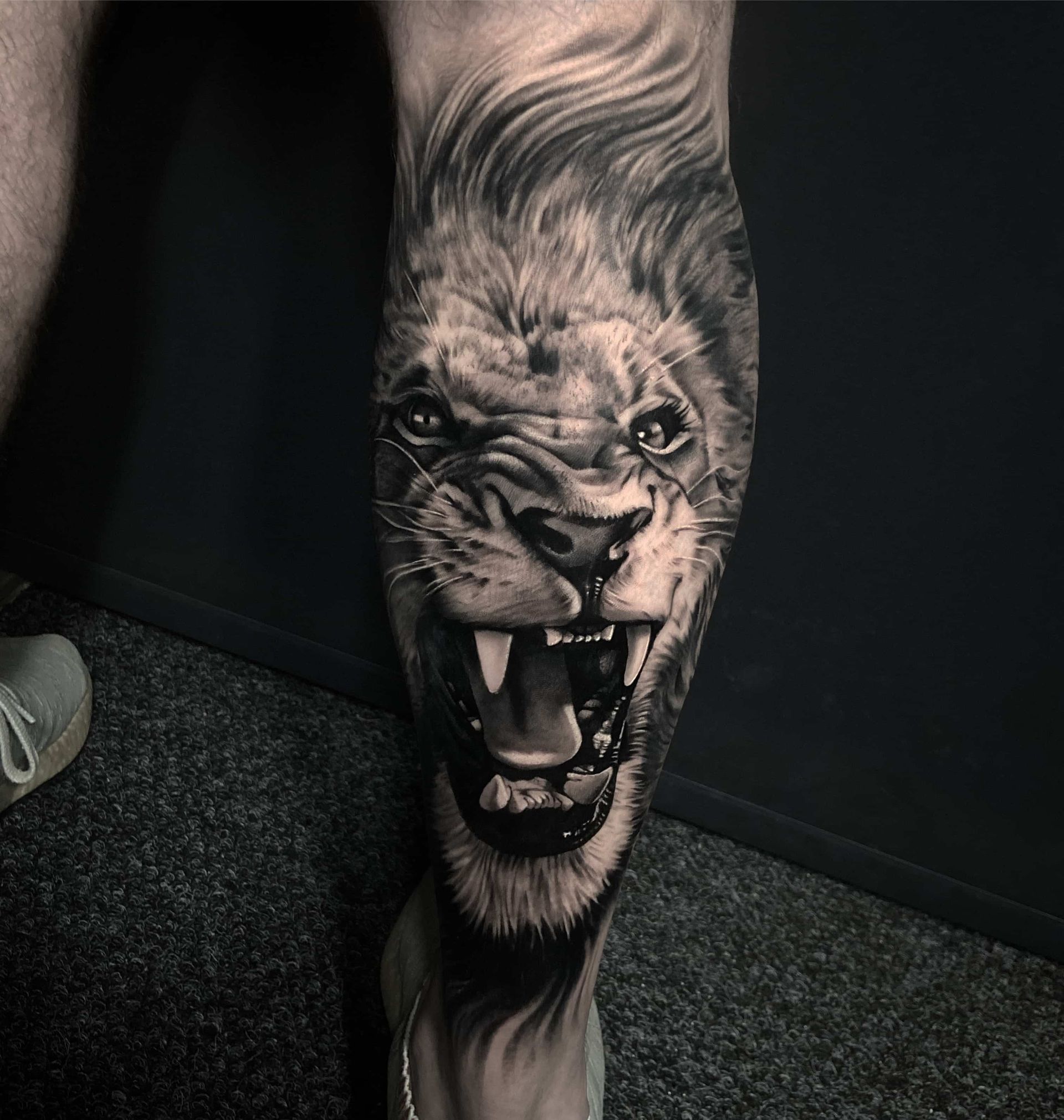 Lion