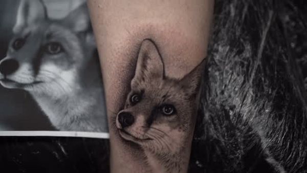 Fox