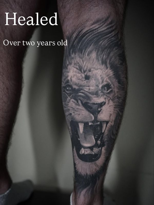 Lion
