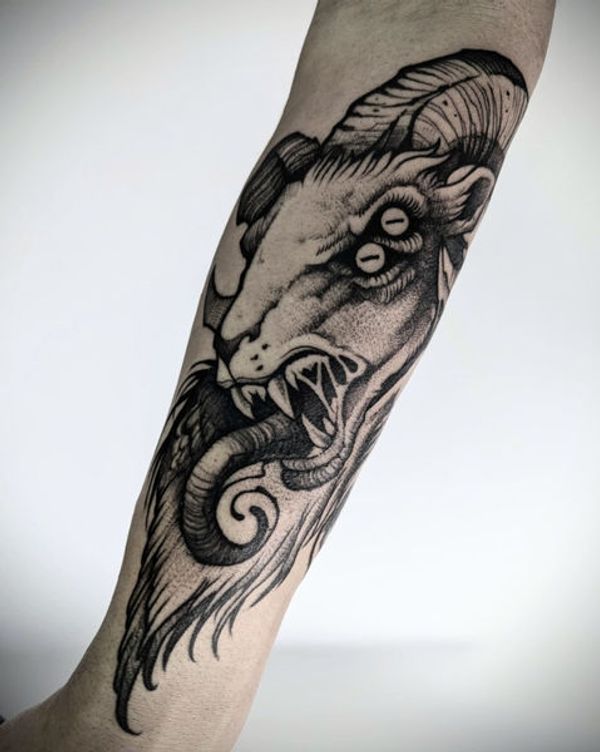 Ram skull, Horns
