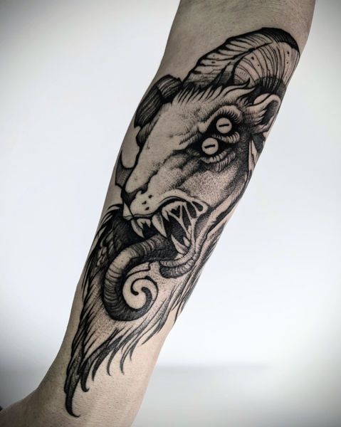 Ram skull, Horns