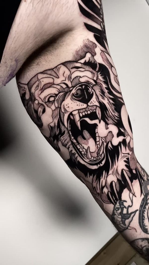 Bear, Animal