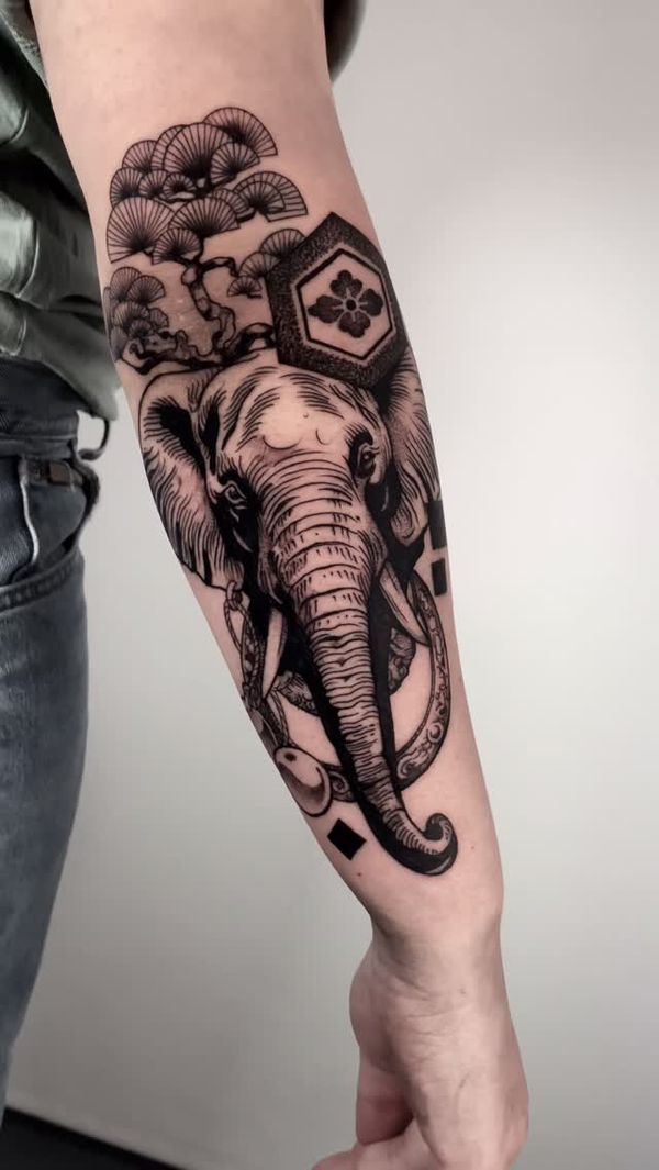 Elephant, Bonsai tree, Flower, Geometric shapes