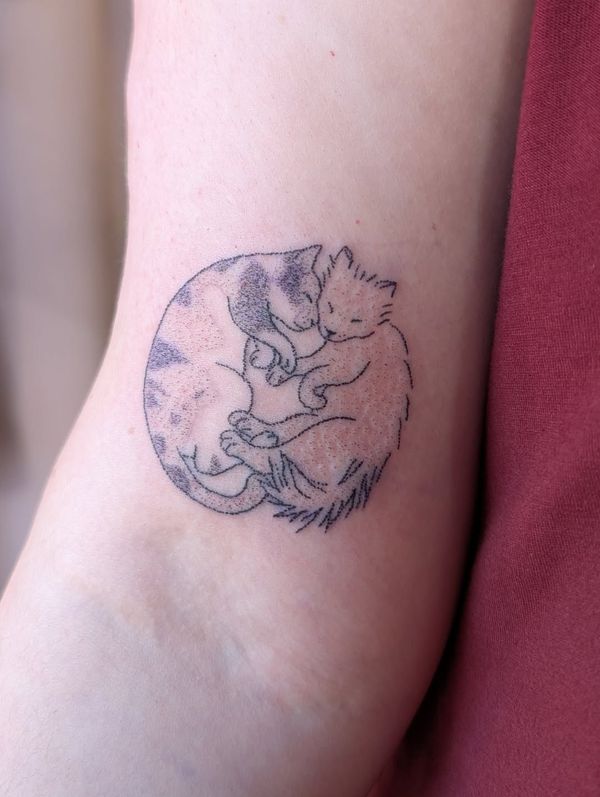 Cats