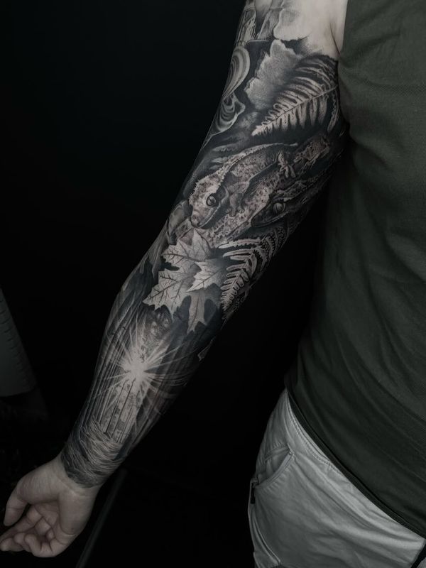 Frog,Fern,Leaves,Forest,Light