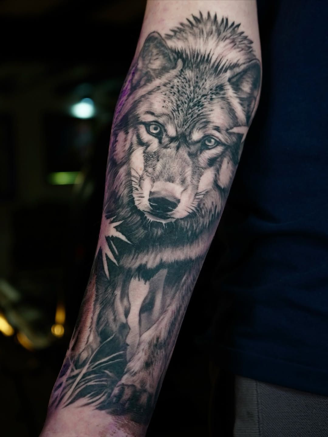 Wolf