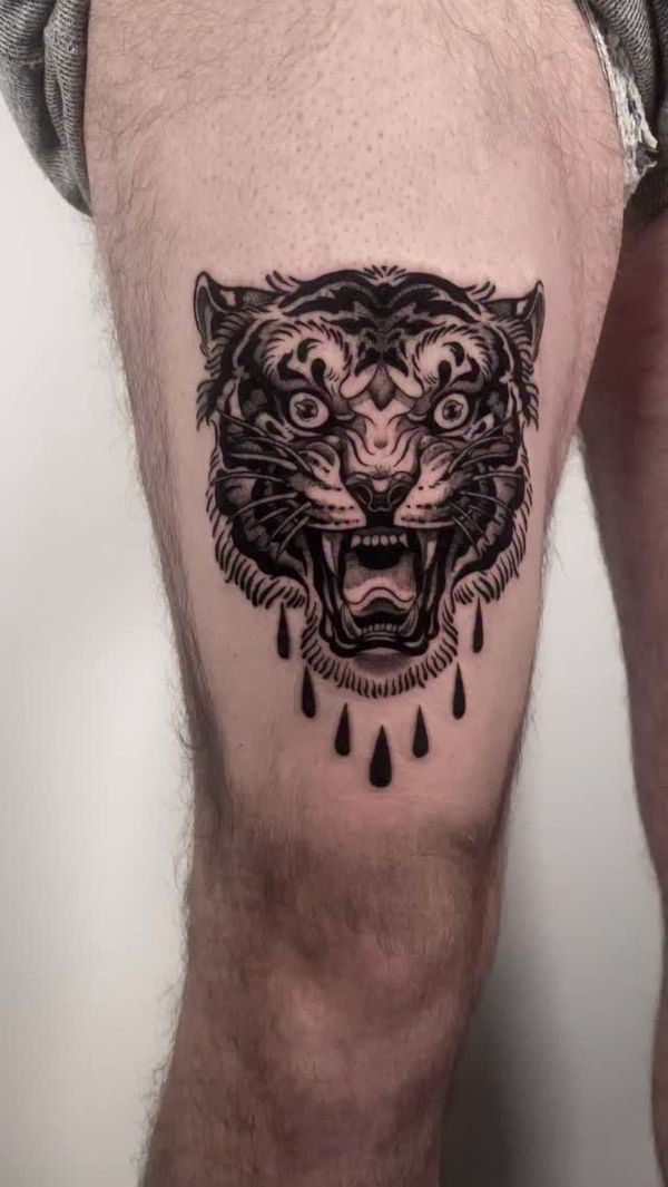 Tiger, Animal