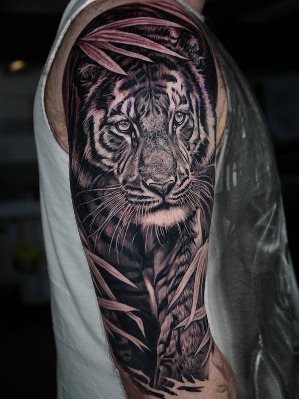 Tiger, Leaves