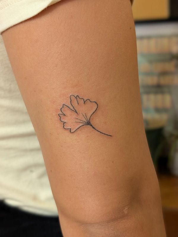 Ginkgo leaf