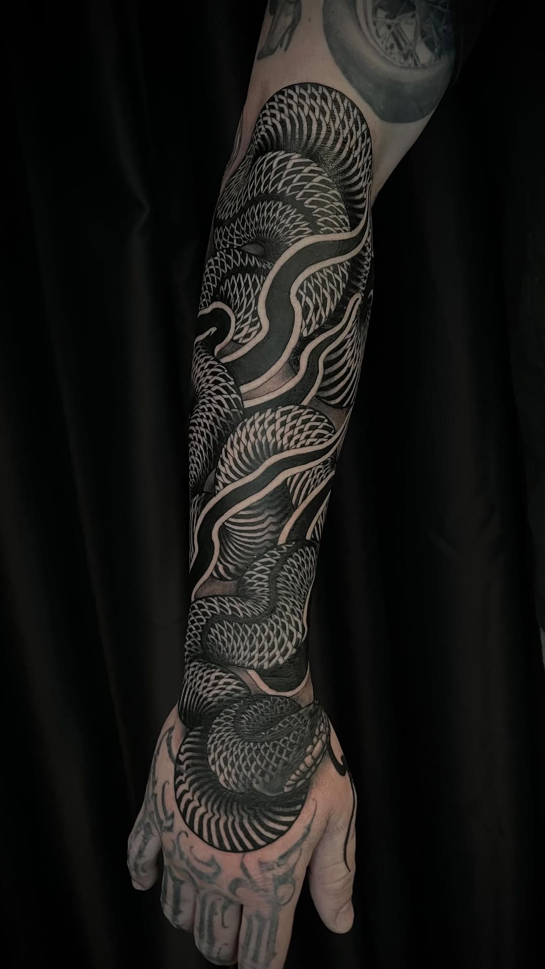 Snake