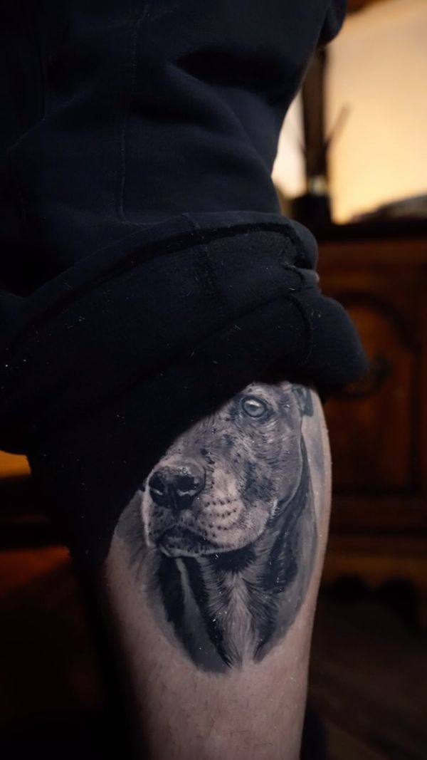 Dog