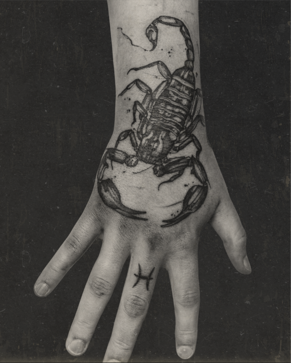 Scorpion, Pisces symbol