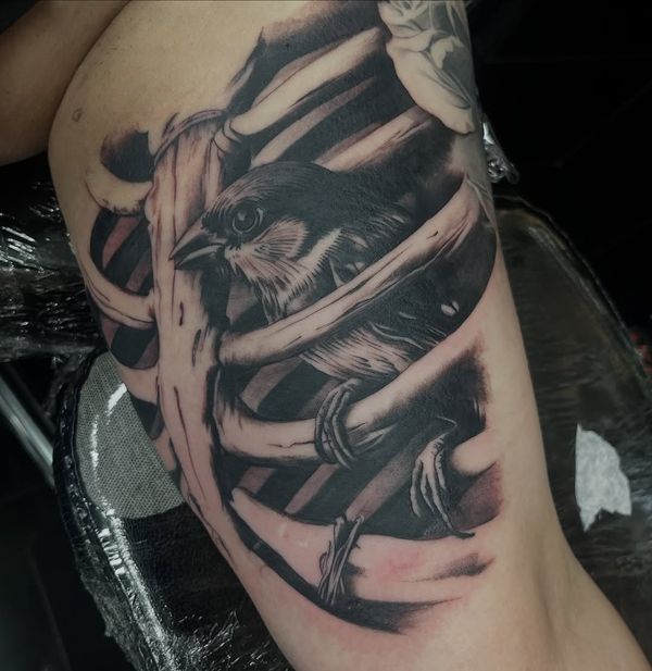 Bird, Rib Cage