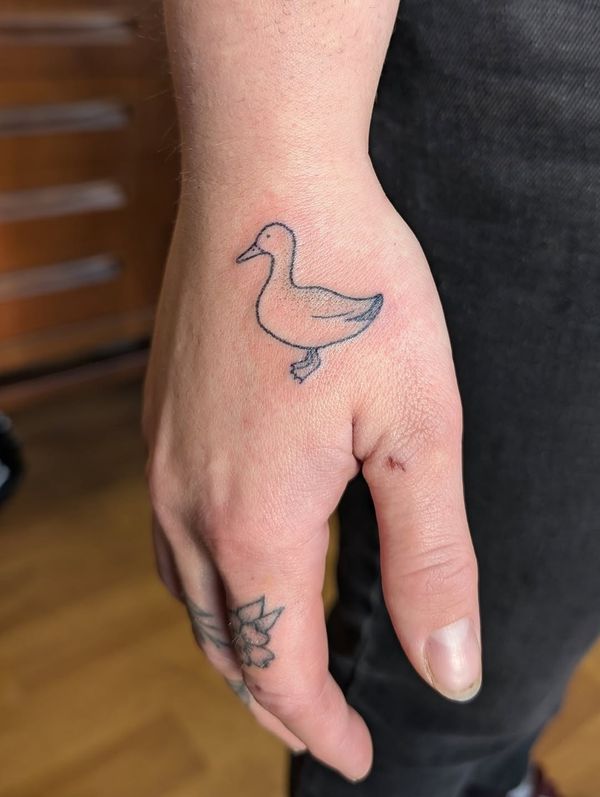 Duck