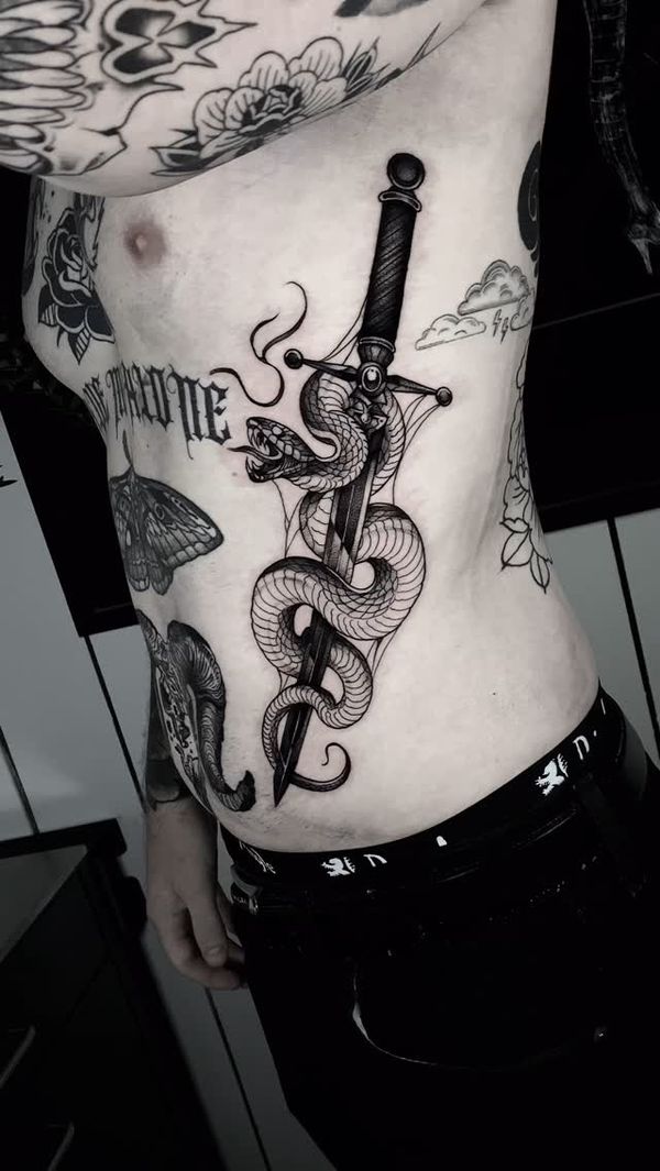 Snake, Sword