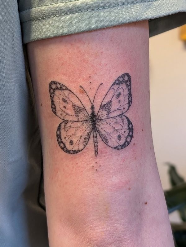 Butterfly