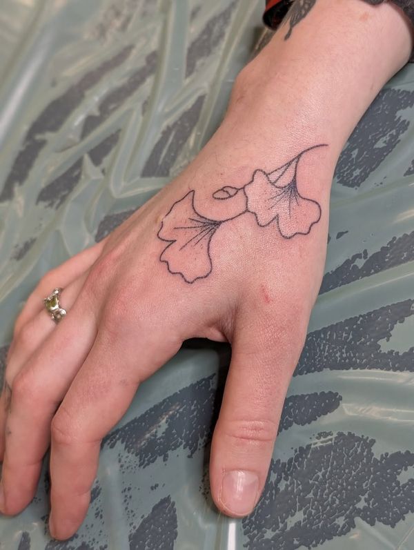 Ginkgo leaves