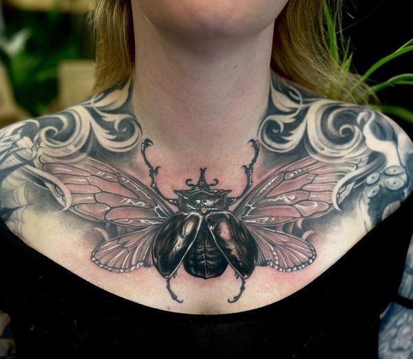 Beetle, Insect