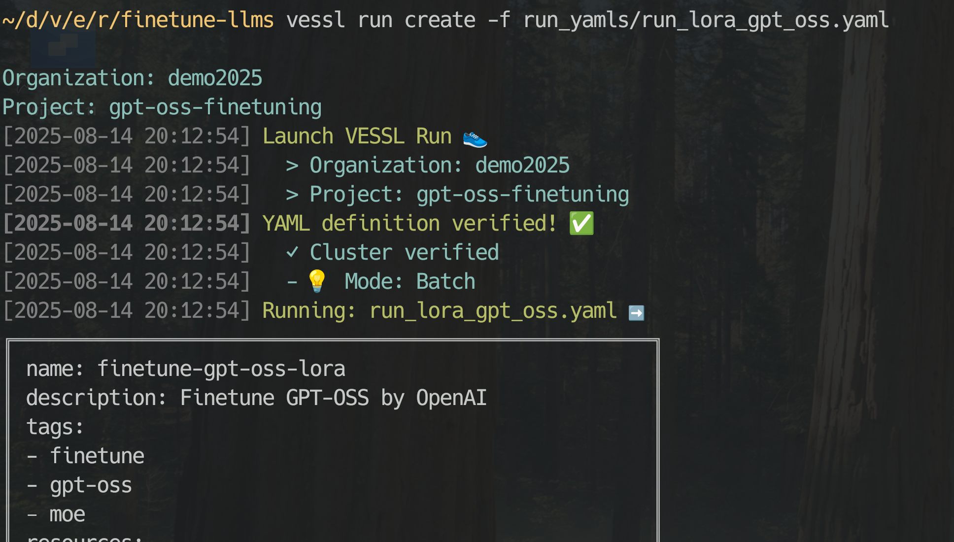 Create a run on VESSL.