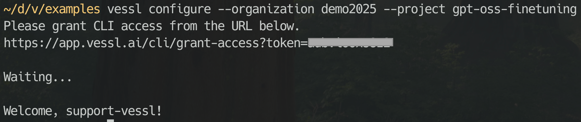 Configure the VESSL CLI.