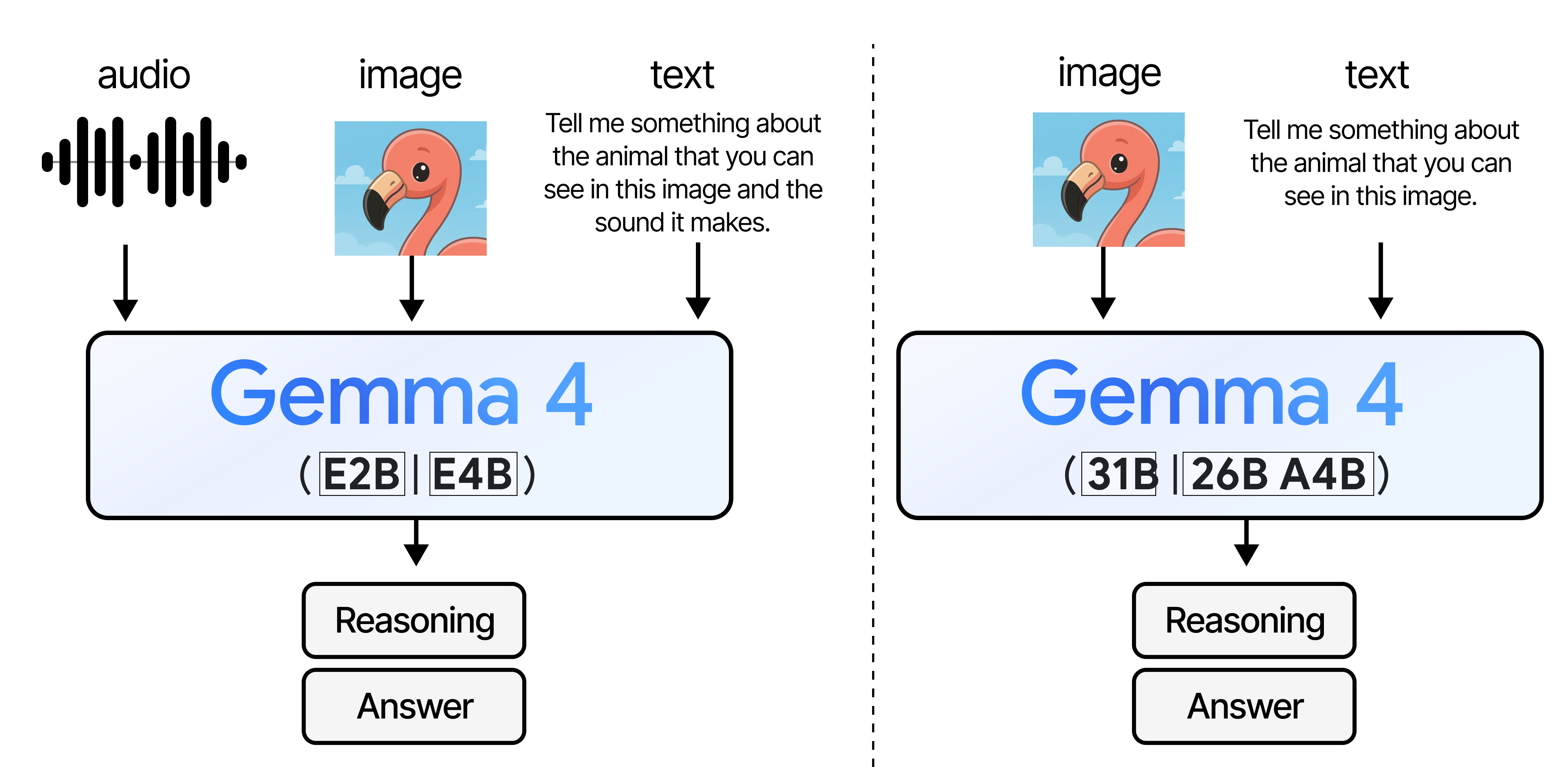  Gemma 4 