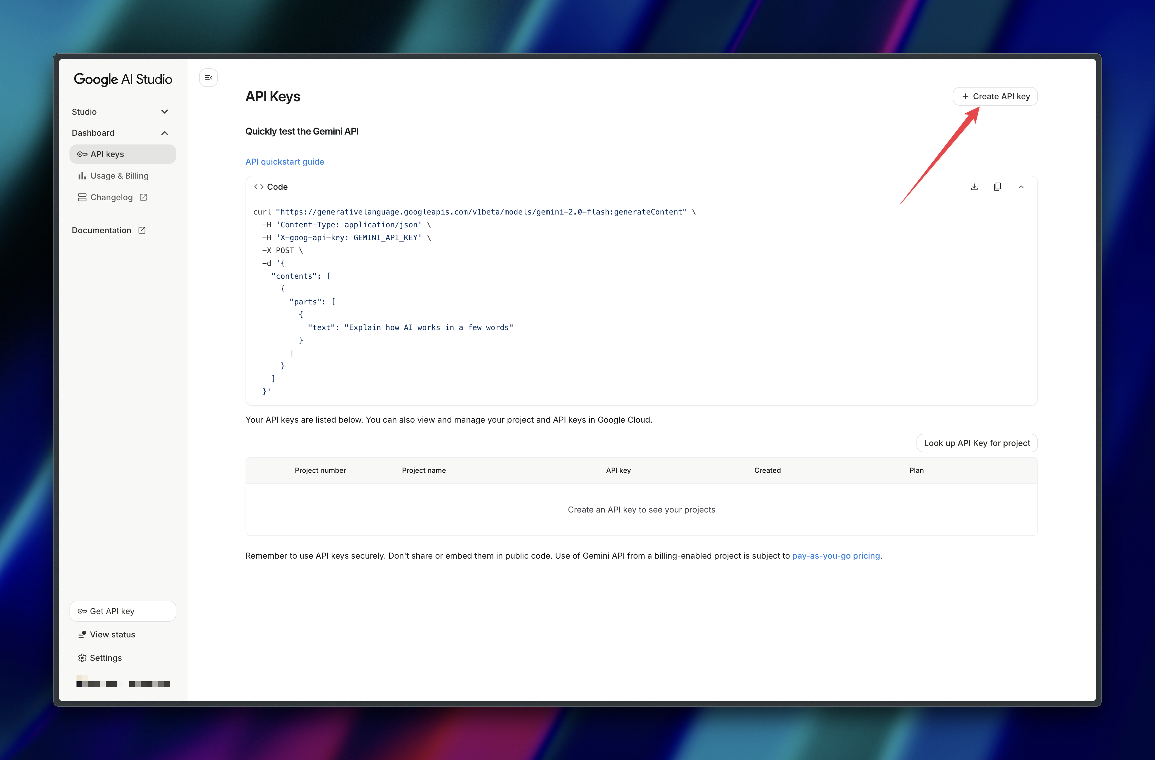 Google AI Studio API Key Authentication