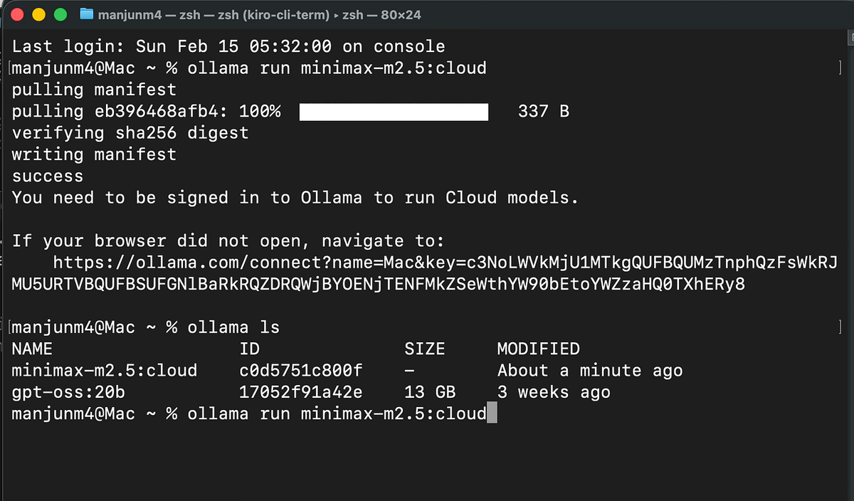 Ollama Path for Local Tooling Users