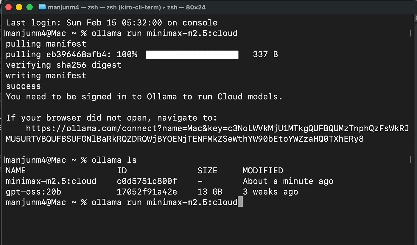 Ollama Path for Local Tooling Users