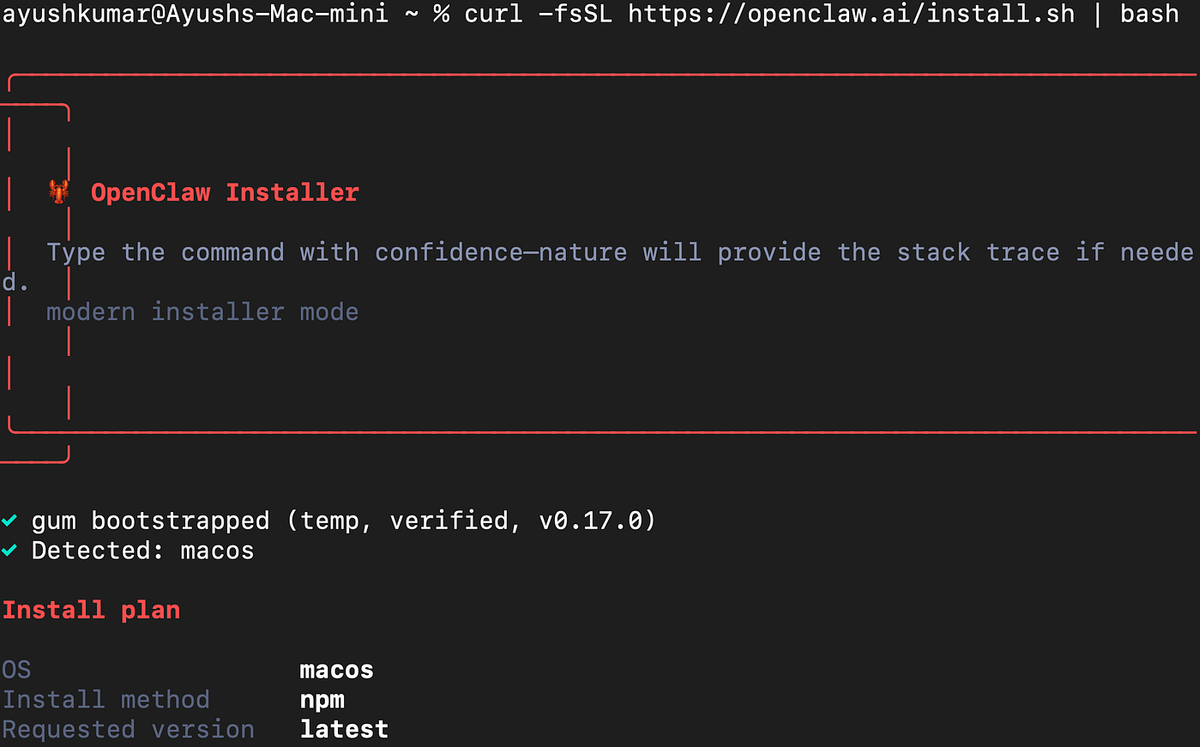 How to Install OpenClaw