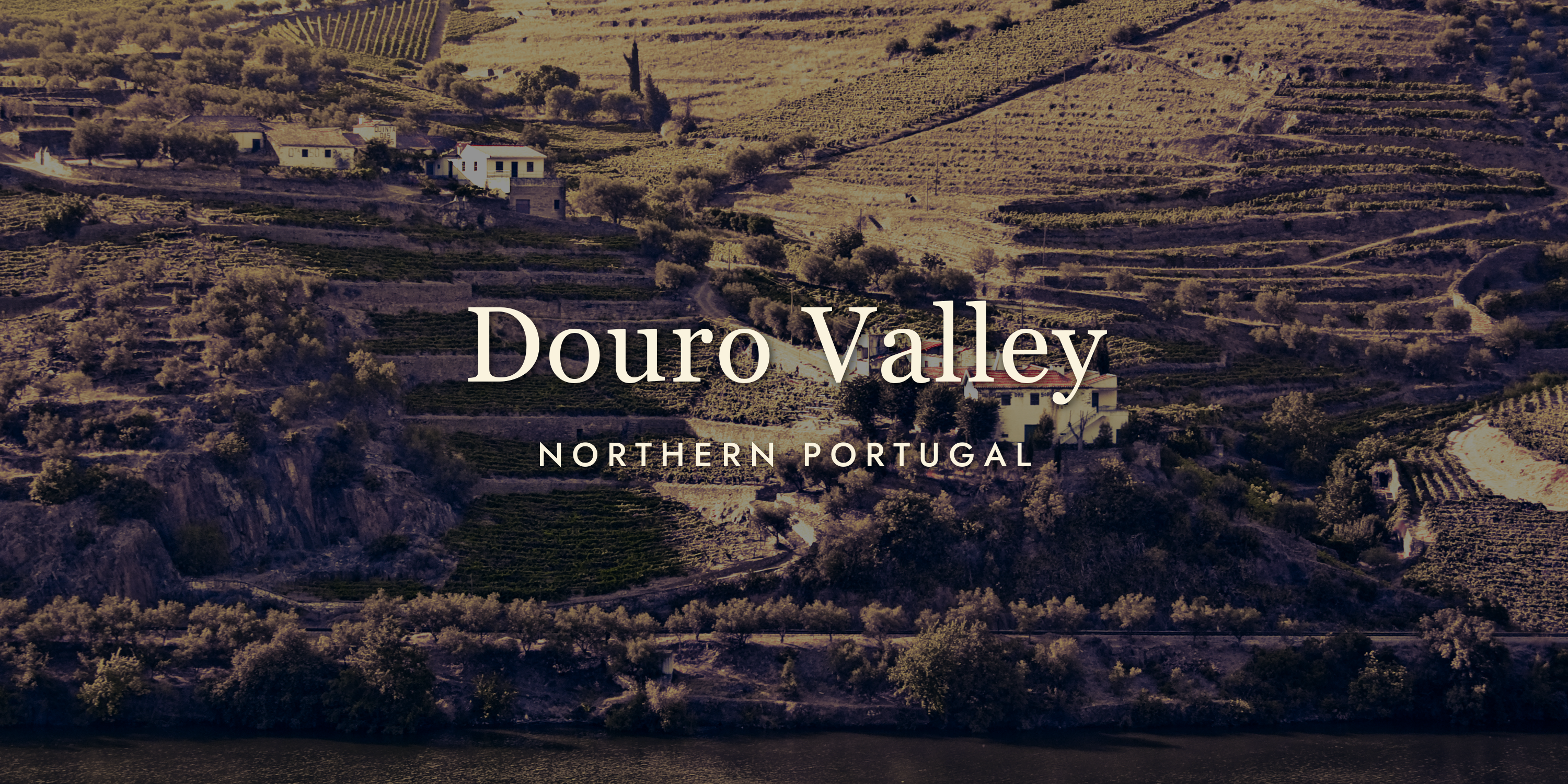 Douro Valley Wine: Port's Homeland, Reinvented