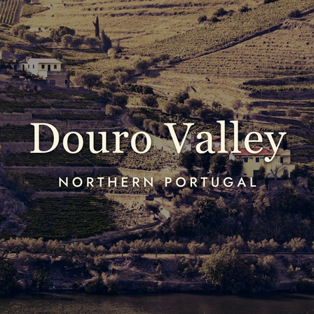 Douro Valley Wine: Port's Homeland, Reinvented