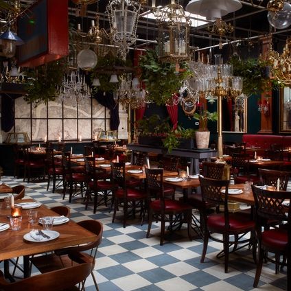 “This is the best restaurant in town that no-one’s heard of…” Jackson Boxer’s Tasting Notes