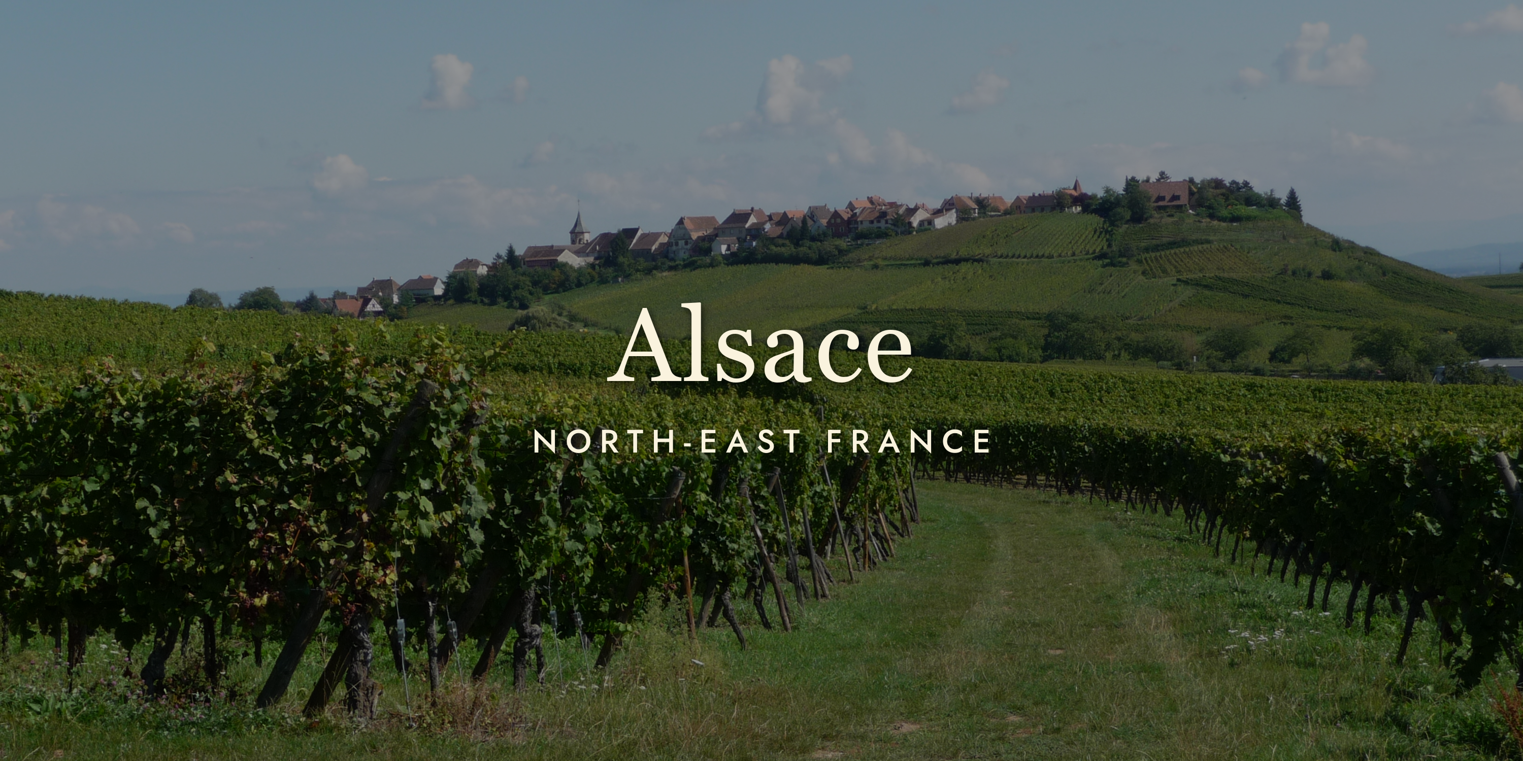 Alsace Wine: Where France Meets Germany (and Everyone Wins)