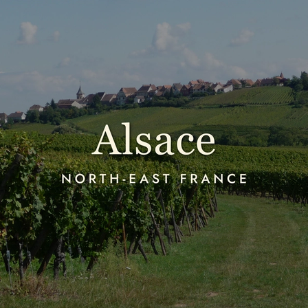 Alsace Wine: Where France Meets Germany (and Everyone Wins)